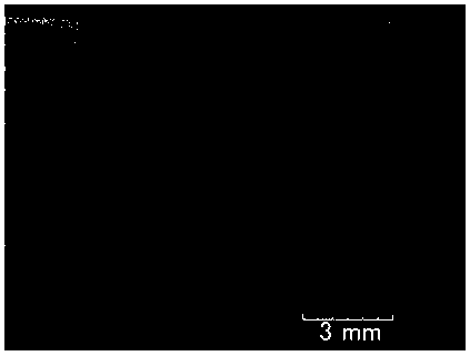 Tool cathode and method for improving flatness of electrolytic milling bottom surface