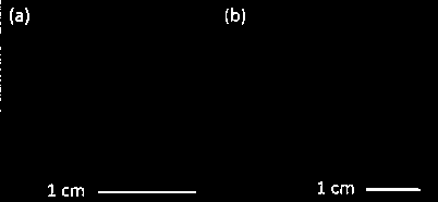 Preparation method for high-strength three-dimensional hollow hydrogel structural body