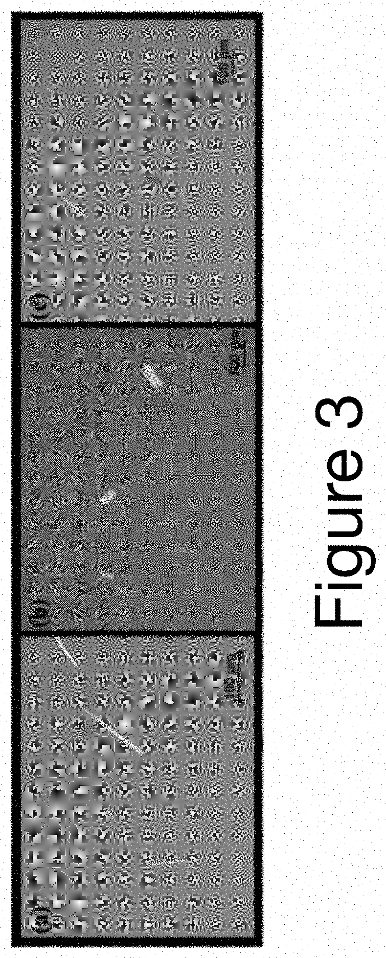 Cromolyn Metal Complexes as enhanced pharmaceutical formulations and method of preparing the same