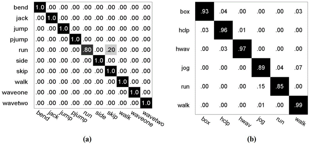 Human Action Recognition Method Based on Low-rank Representation