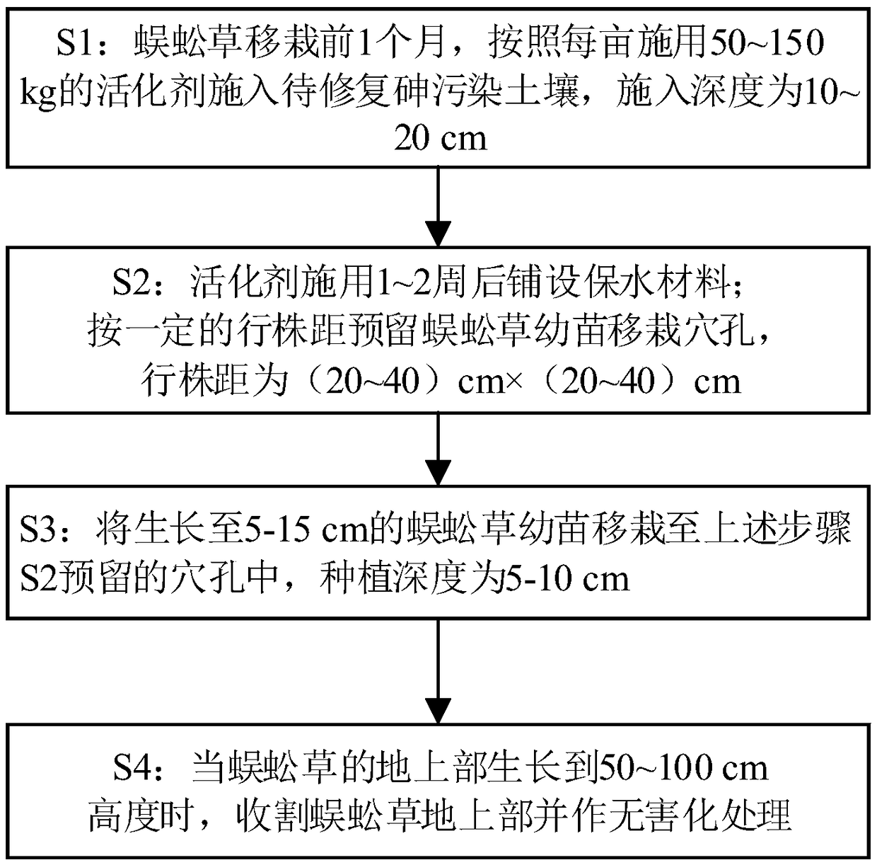 Method for improving arsenic absorption efficiency of pteris vittata