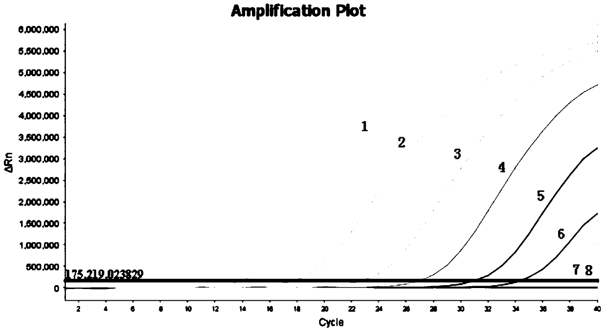 Amphimorphic FQ-PCR detection reagent kit for identifying African swine fever and swine fever virus wild strains