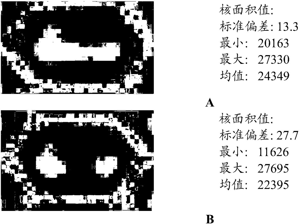 A method for reducing quantification errors caused by an optical artefact in digital polymerase chain reaction