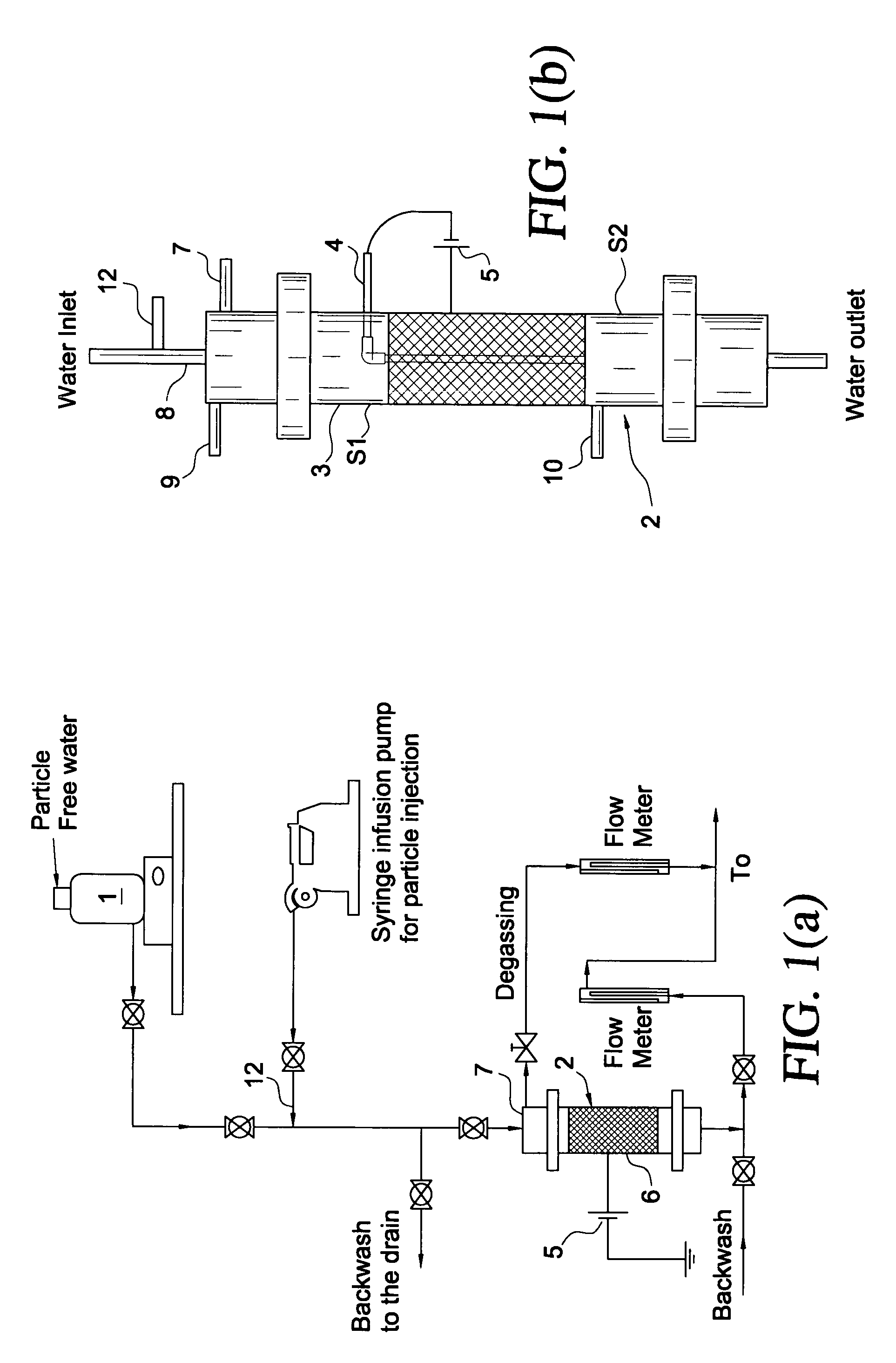 Process and apparatus for removal of biocolloids from water