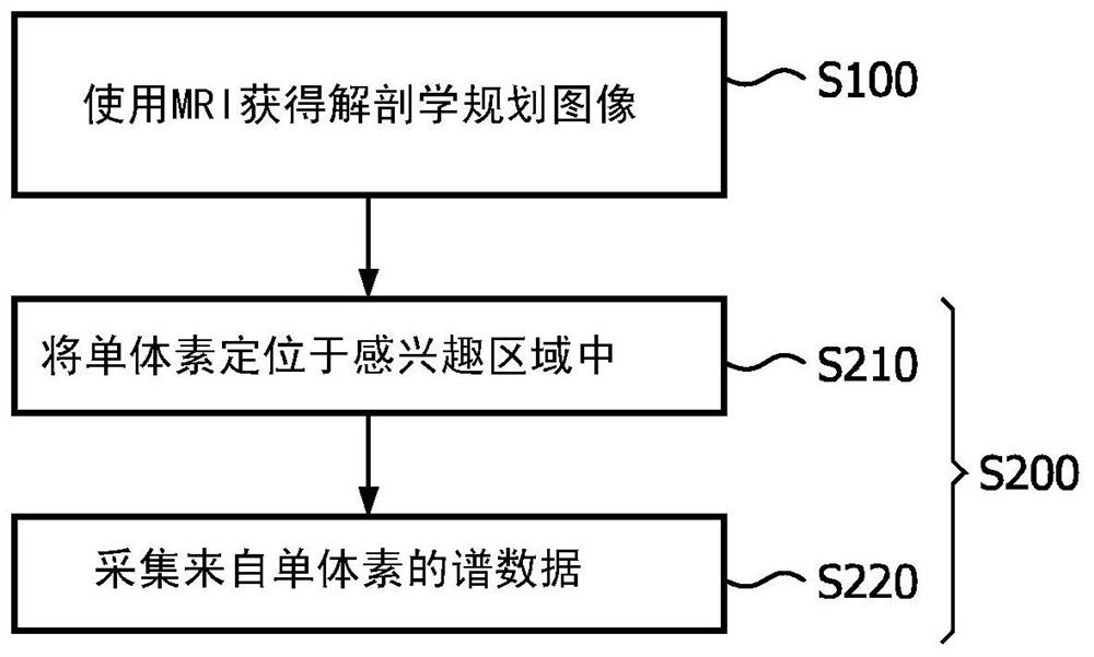 Imaging System for Single Voxel Spectroscopy