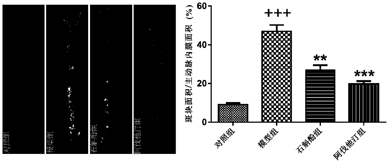 Application of Dendrobium in the Preparation of Medicines for Preventing and Treating Atherosclerosis