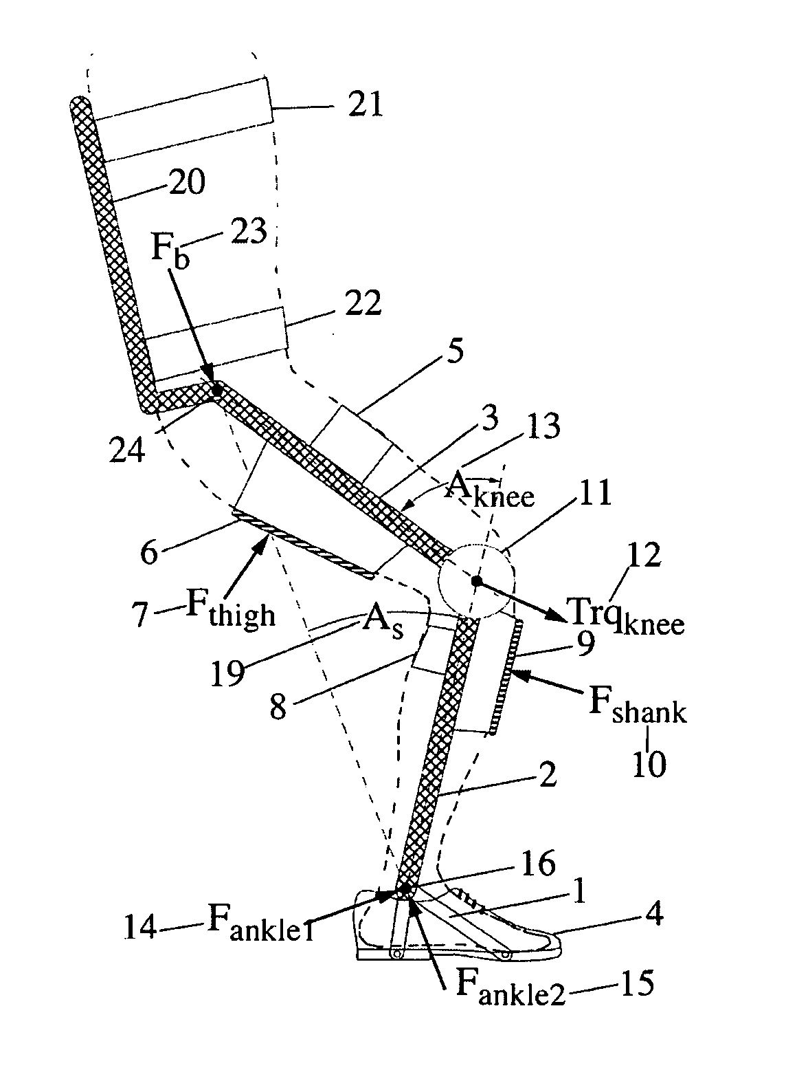 Metabolically efficient leg brace