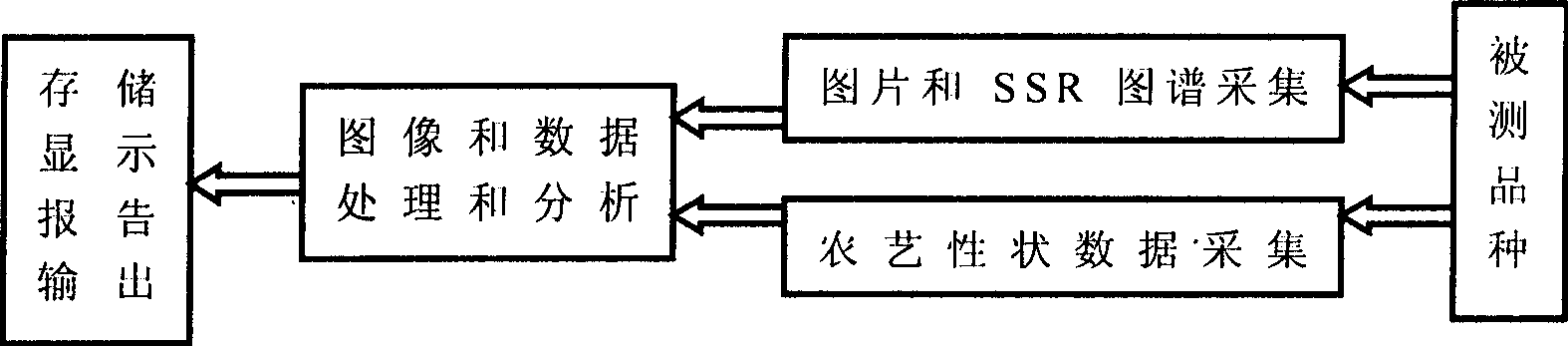 Quick identification technology for new variety of agricultural plant