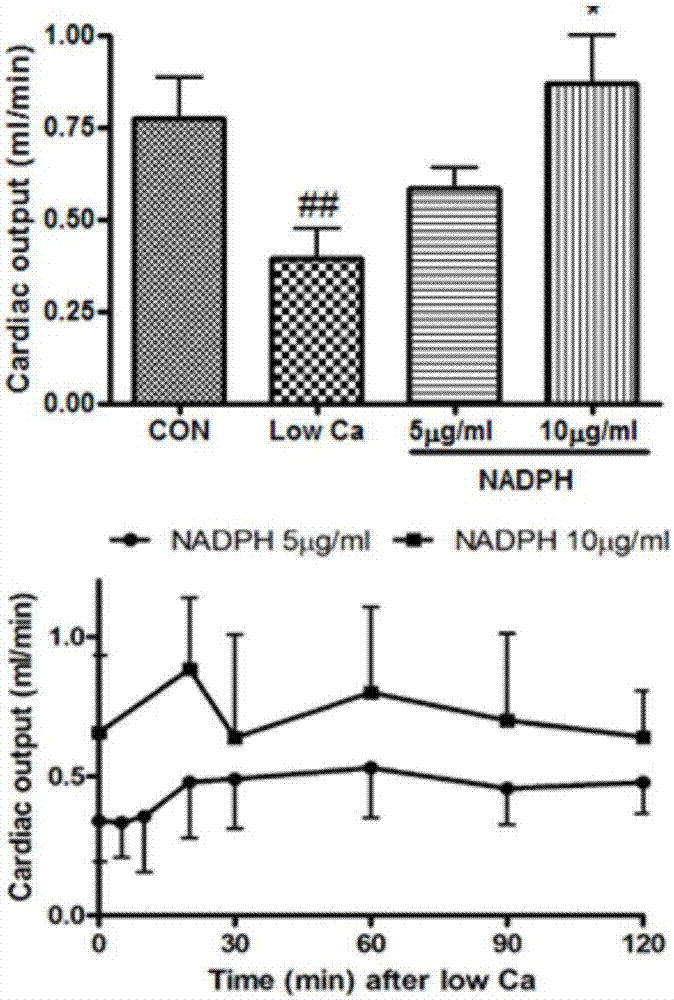 Application of NADPH (nicotinamide adenine dinucleotide phosphate) in preparation of medicine for treating cardiac hypertrophy and cardiac failure