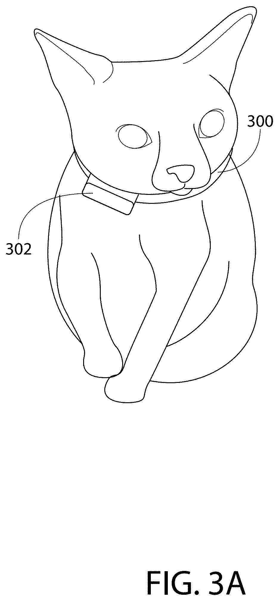 System and method for associating a signature of an animal movement and an animal activity