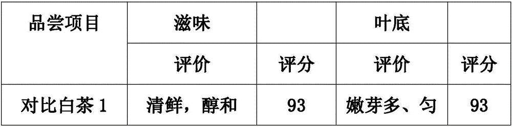 White tea processing technology