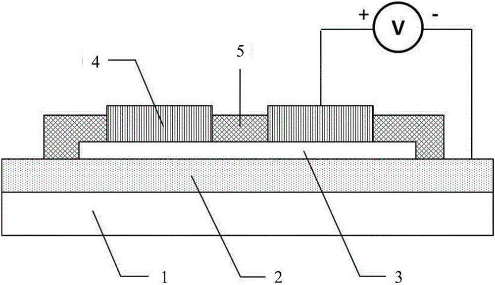 Black phosphorene film memory and preparation method thereof