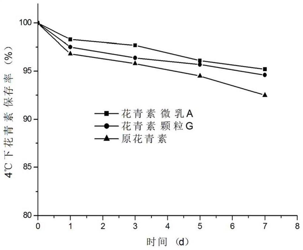 Active oil-soluble anthocyanin as well as preparation method and application thereof