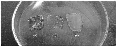 Preparation method of chitosan/polyvinyl alcohol hydrogel dressing