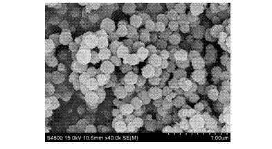 Multiferroic rare earth doped ferrate materials and preparation method thereof