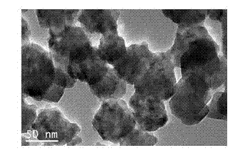 Multiferroic rare earth doped ferrate materials and preparation method thereof