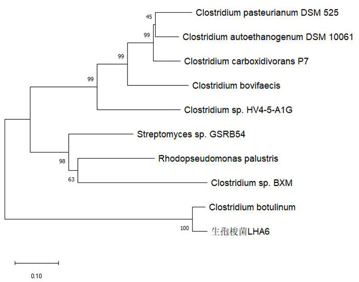 Clostridium sporogenes with function of synchronously producing hydrogen by fermentation and methylating anaerobic arsenic and application of clostridium sporogenes