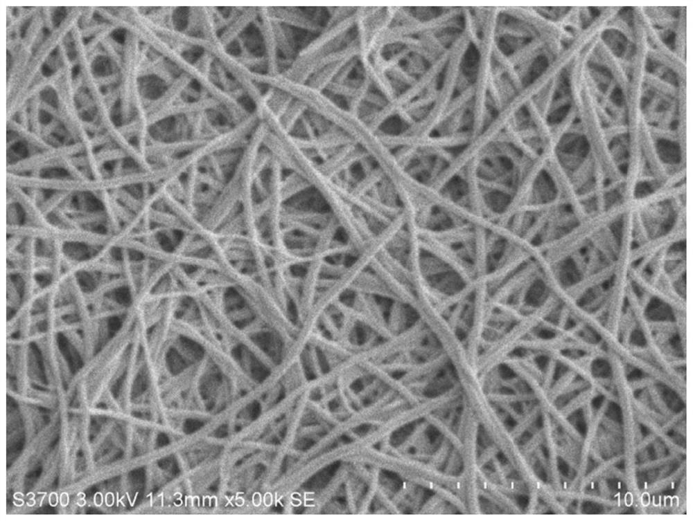 Bionic nano fiber material as well as preparation method thereof and application thereof