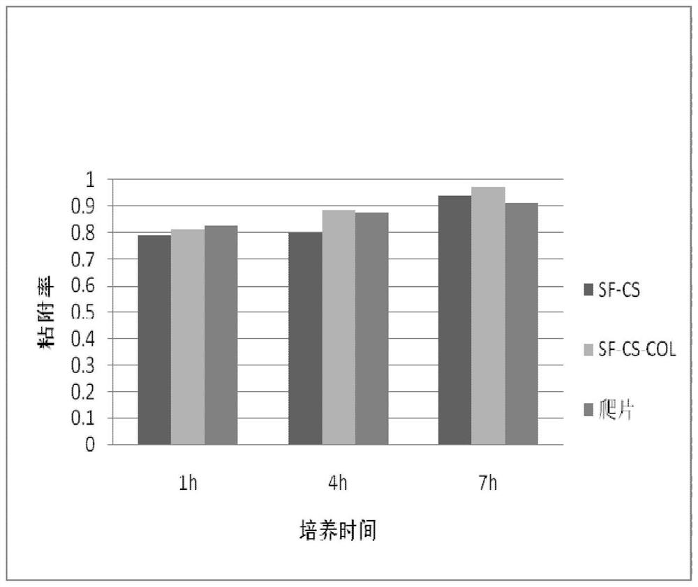 Bionic nano fiber material as well as preparation method thereof and application thereof