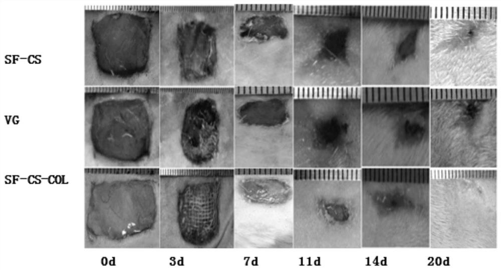 Bionic nano fiber material as well as preparation method thereof and application thereof