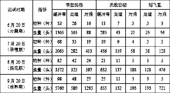 Flower and grass combination for increasing natural enemies to control pests in single cropping rice field in northeast China and application