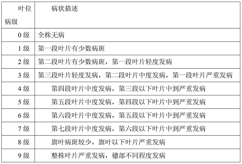 Creation method for dasypyrum villosum-based high-quality powdery mildew-resistant breeding element