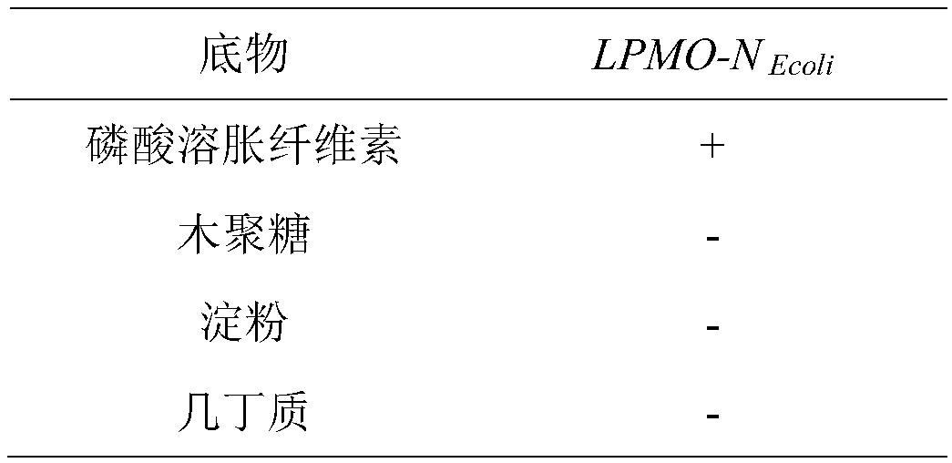 Polypeptides having cellulolytic degradation enhancing activity and application thereof