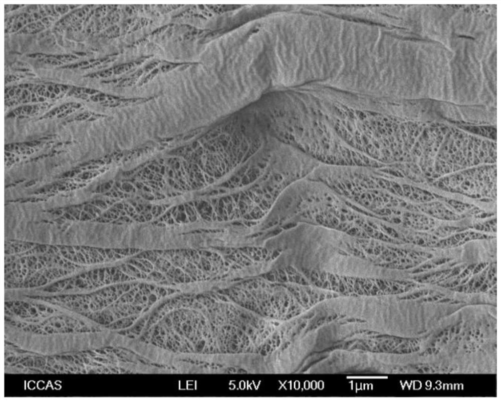 A kind of preparation method of porous polyethylene film