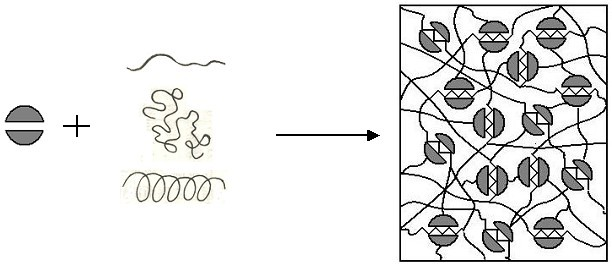 Organic nano anti-corrosion coating and preparation method thereof