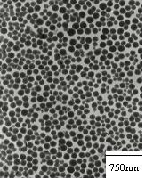 Organic nano anti-corrosion coating and preparation method thereof