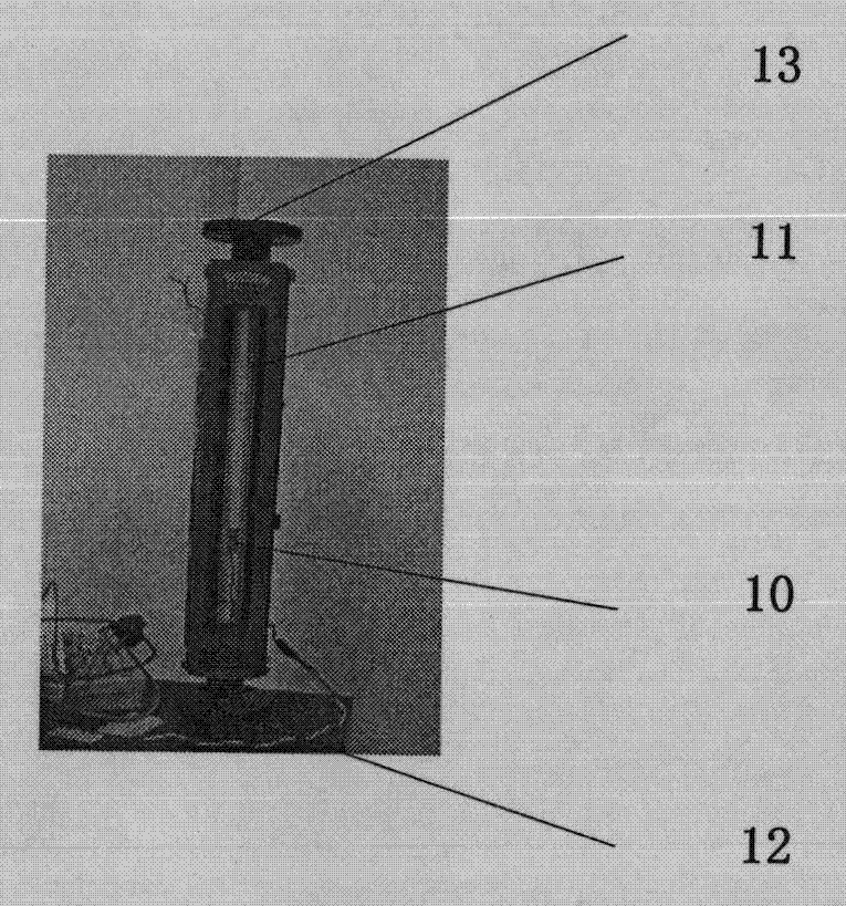 A flow monitoring device and flow monitoring method based on visual detection