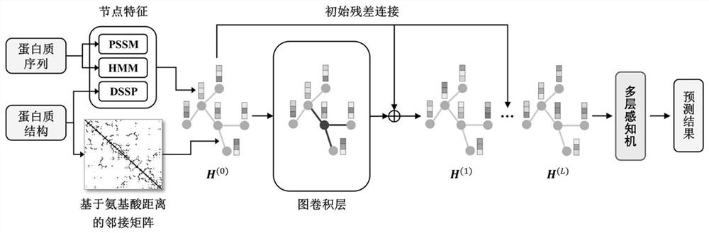 Protein-protein interaction site prediction method based on deep map convolutional network