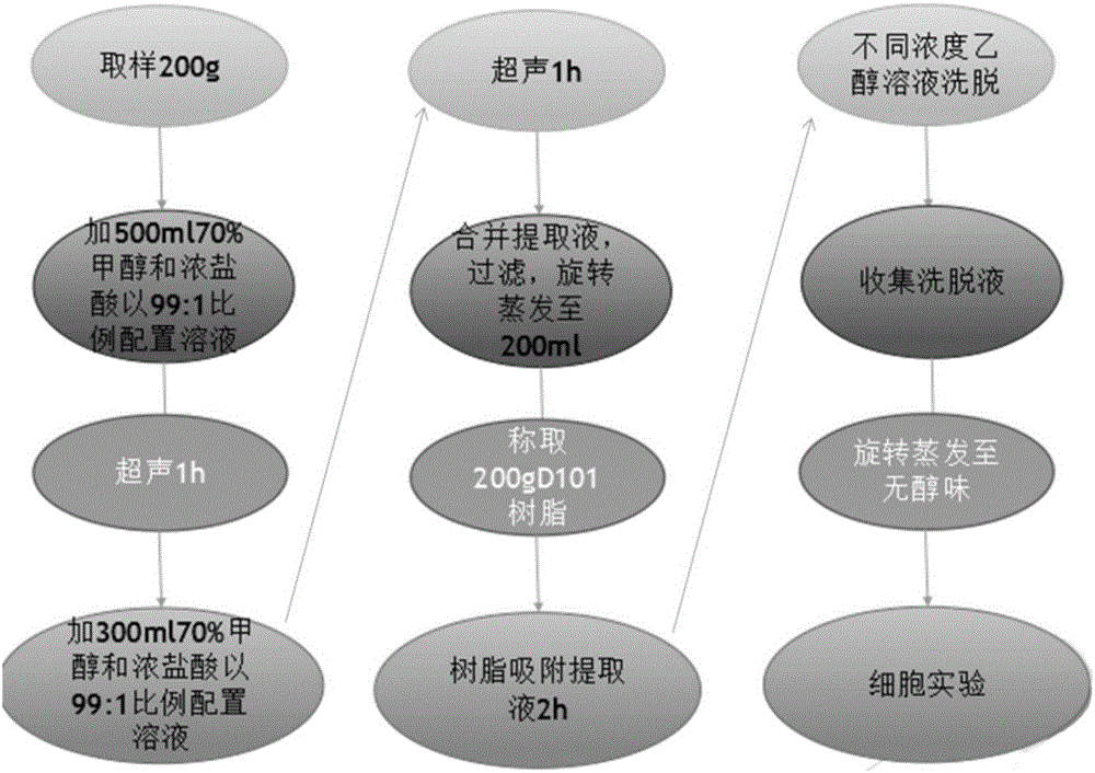 Maca extract as well as preparation method and application thereof