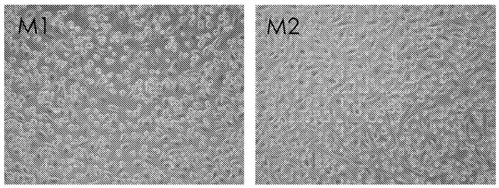 Beta-glucan methods and compositions that affect the tumor microenvironment