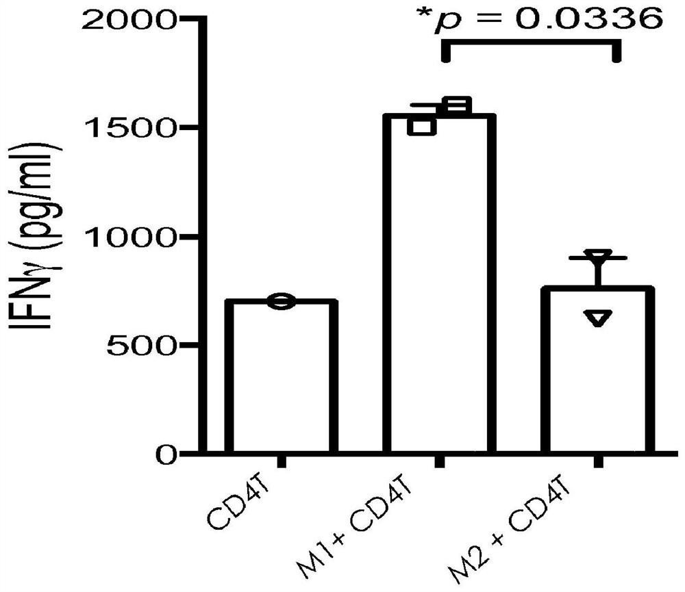 Beta-glucan methods and compositions that affect the tumor microenvironment