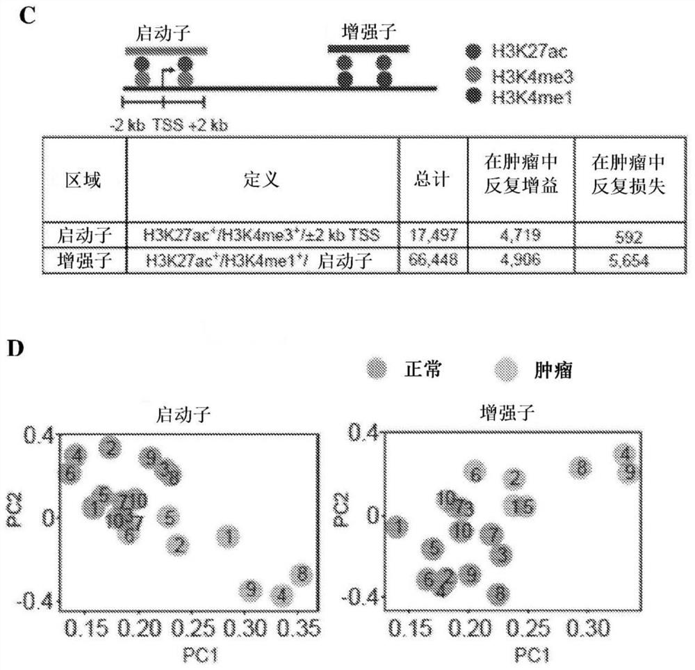 Clear cell renal cell carcinoma biomarkers