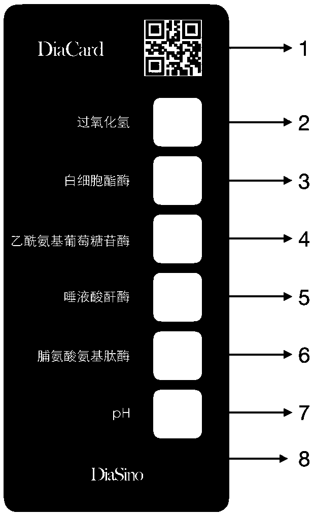 Intelligent detection system and intelligent analysis method of vaginal micro-ecological environment