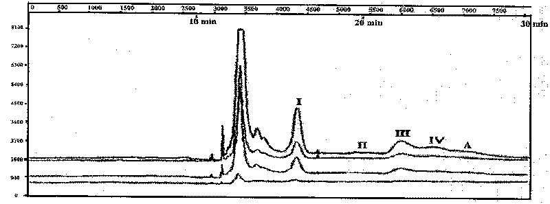 Method for detecting polymorphism of flora of prawn culture water body