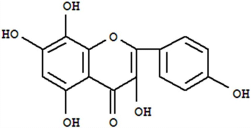 Method for extracting herbacetin from rhodiola rosea