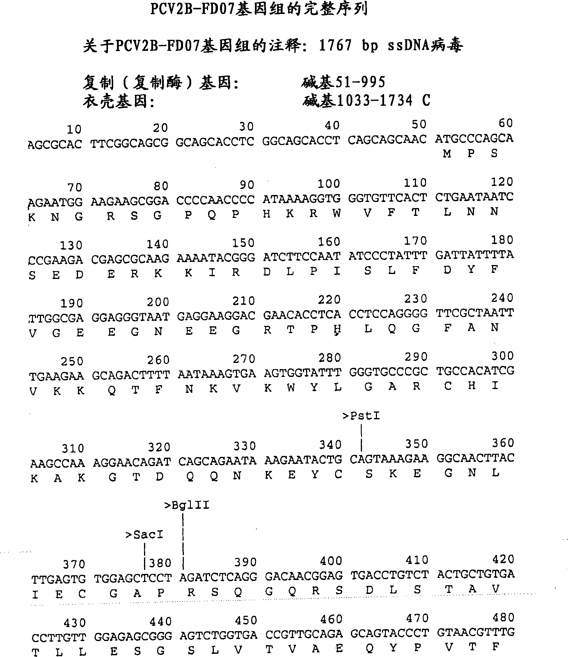 Methods and compositions for immunizing pigs against porcine circovirus