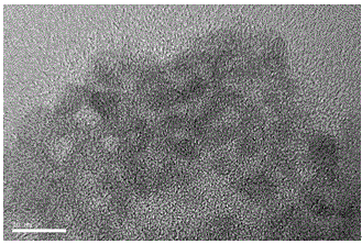 A kind of nanometer chromogenic probe based on cds nanoparticle and its preparation method and application