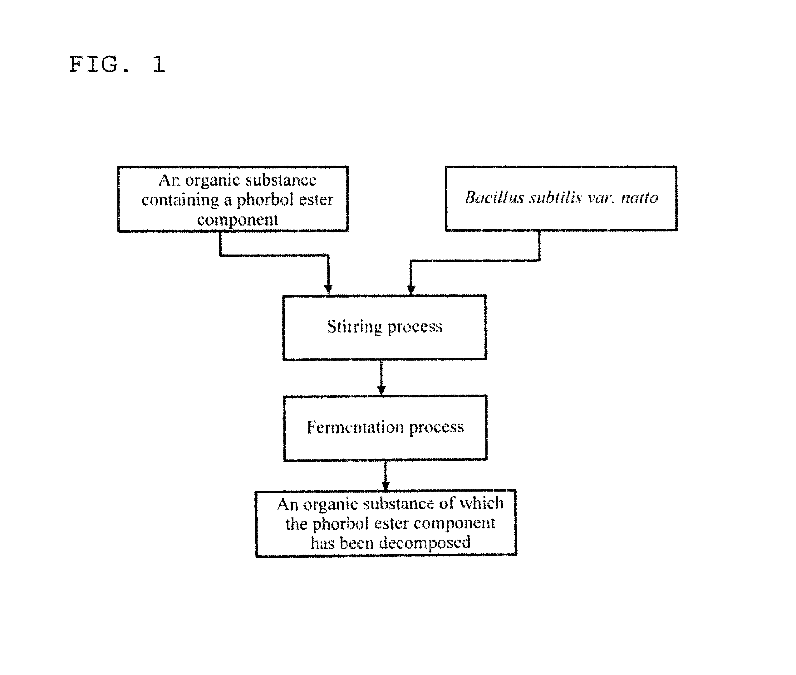 Method for removing phorbol ester in organic substance, method for producing high-protein organic substance, high-protein organic substance, method for producing feed and feed