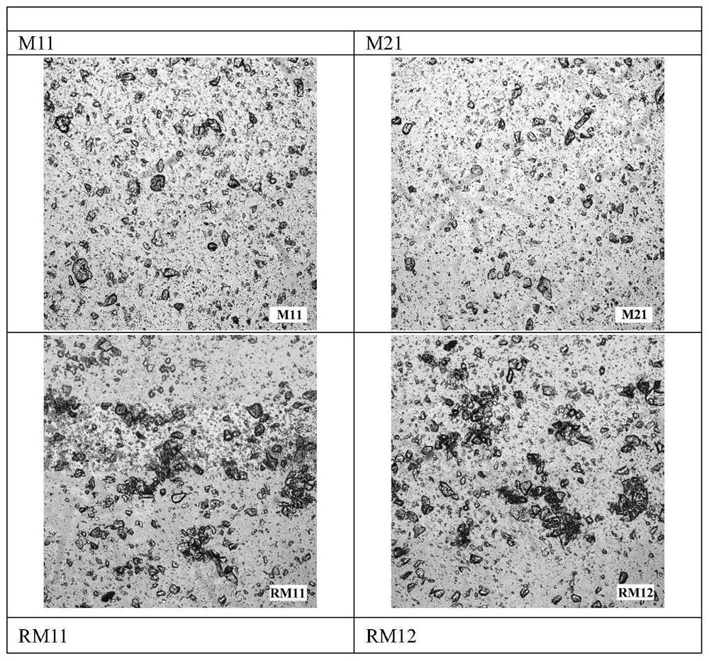 Transdermal drug delivery composition containing dapsone compound and preparation method of transdermal drug delivery composition