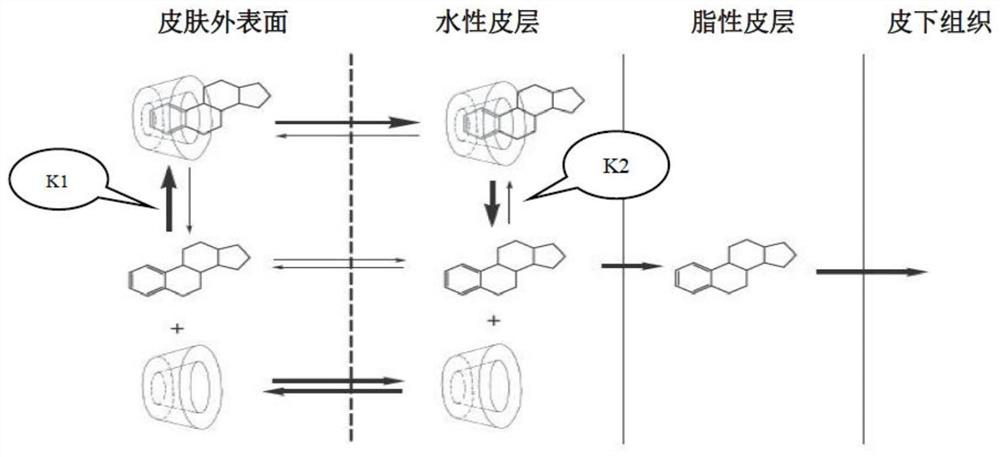 Transdermal drug delivery composition containing dapsone compound and preparation method of transdermal drug delivery composition