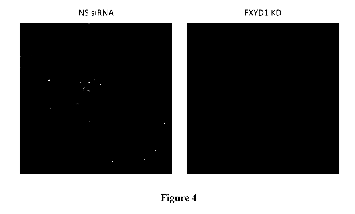 Methods for treatment and prevention of vascular disease