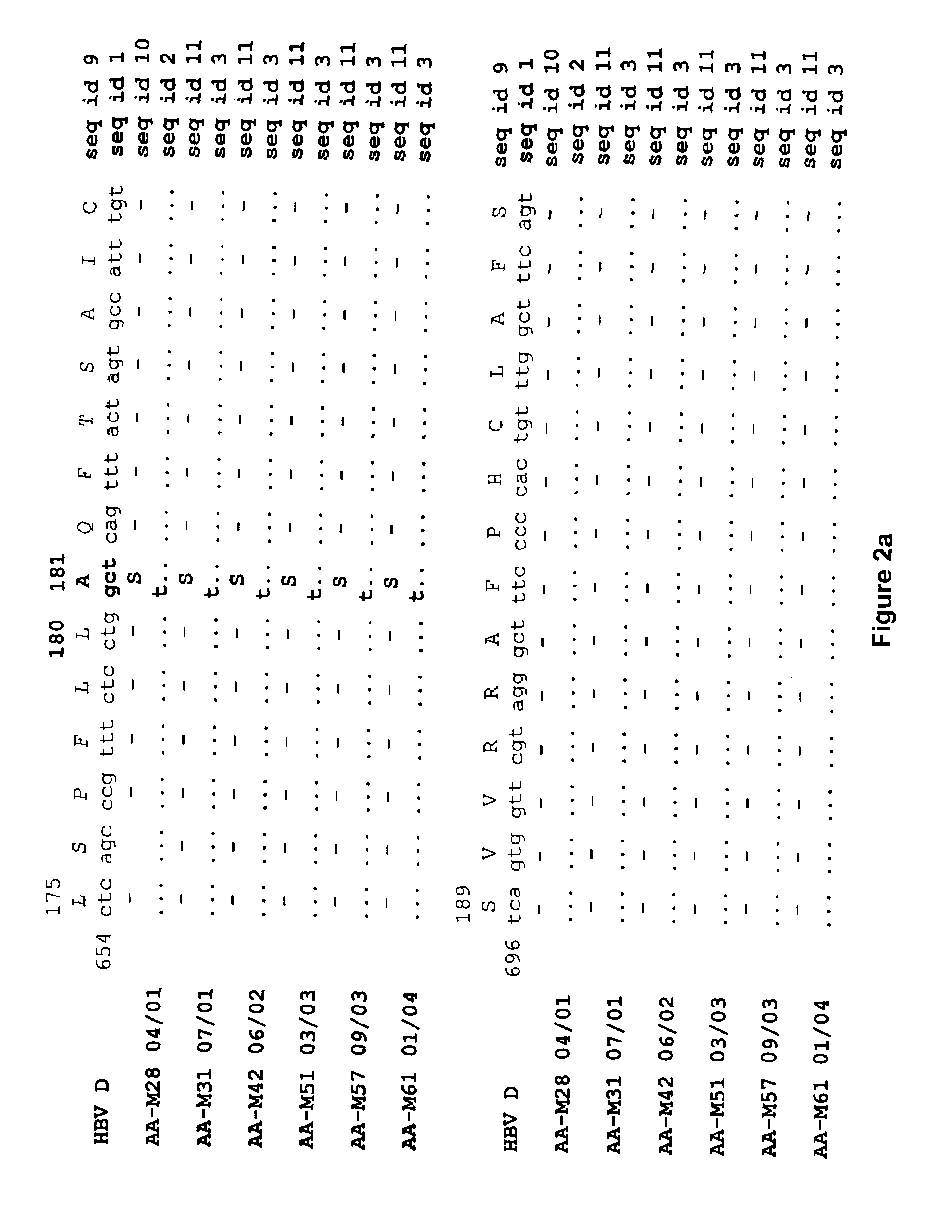 Hepatitis-B viral variants with reduced susceptibility to nucleoside analogs and uses thereof