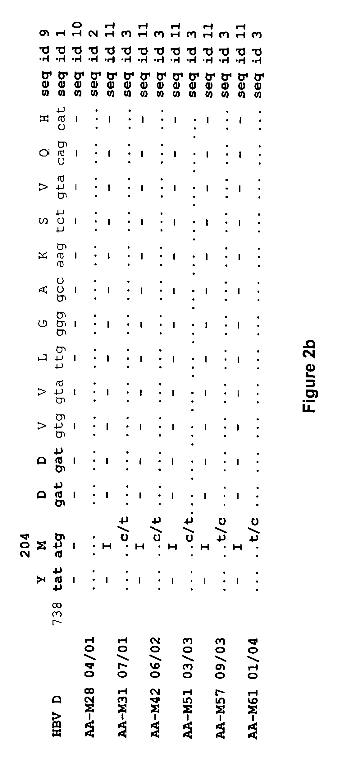 Hepatitis-B viral variants with reduced susceptibility to nucleoside analogs and uses thereof