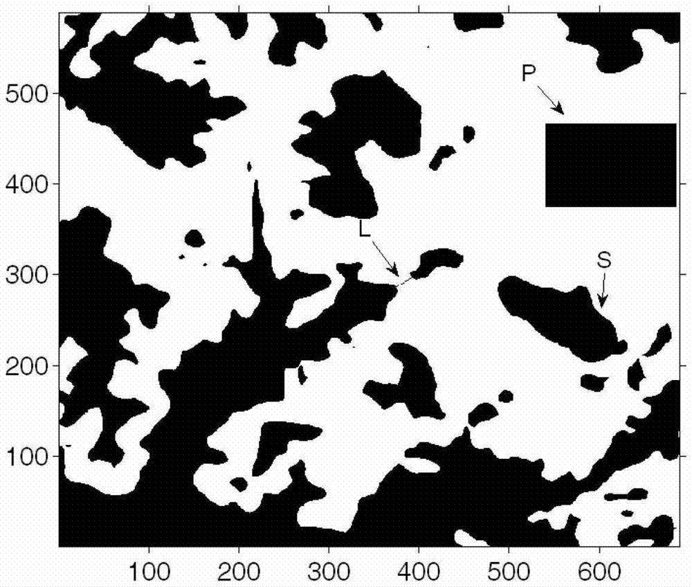 Multi-target distribution and flight path planning method for multiple rescue helicopters