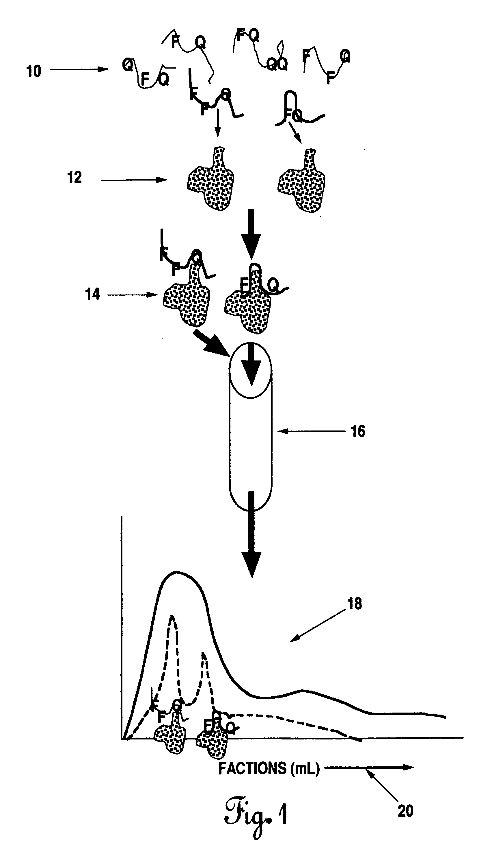 Methods of producing interachain fluorophore-quencher FRET-aptamers and assays