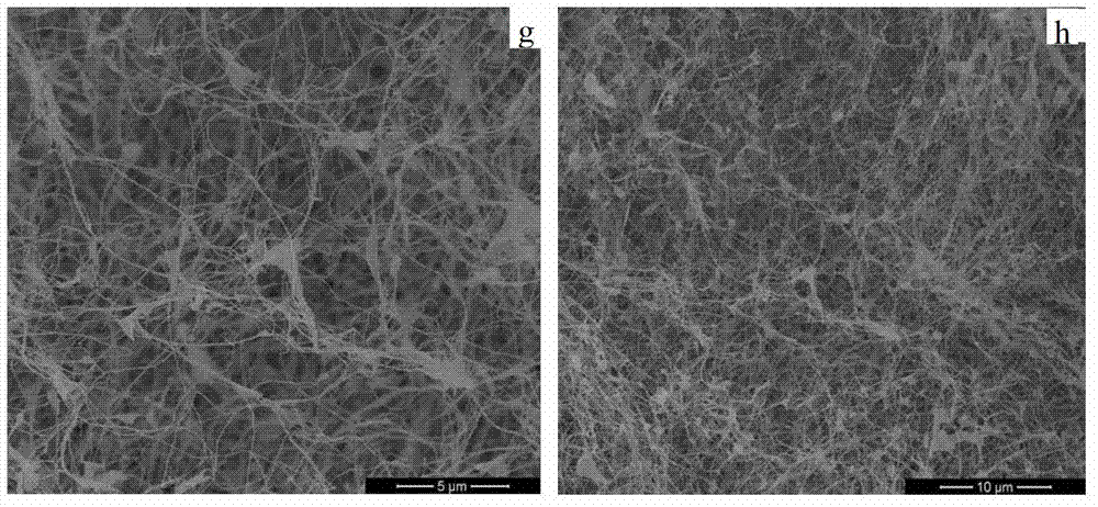 Preparation method of graphene/bacterial cellulose composite material